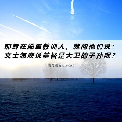 Picture 06 - 马 可 福 音 12:35 CUVS - 耶 稣 在 殿 里 教 训 人 ， 就 问 他 - Bible Verse Picture