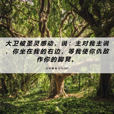 Picture 06 - 马 可 福 音 12:36 CUVS - 大 卫 被 圣 灵 感 动 ， 说 ： 主 对 - Bible Verse Picture