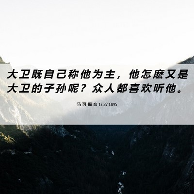 Picture 06 - 马 可 福 音 12:37 CUVS - 大 卫 既 自 己 称 他 为 主 ， 他 怎 - Bible Verse Picture