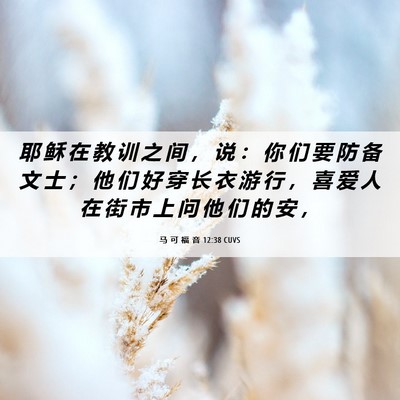 Picture 06 - 马 可 福 音 12:38 CUVS - 耶 稣 在 教 训 之 间 ， 说 ： 你 们 - Bible Verse Picture