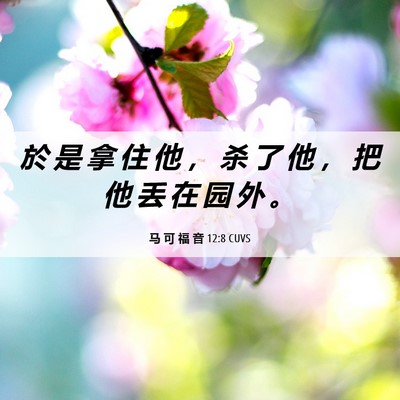 Picture 06 - 马 可 福 音 12:8 CUVS - 於 是 拿 住 他 ， 杀 了 他 ， 把 他 - Bible Verse Picture