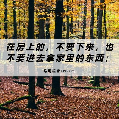 Picture 06 - 马 可 福 音 13:15 CUVS - 在 房 上 的 ， 不 要 下 来 ， 也 不 - Bible Verse Picture