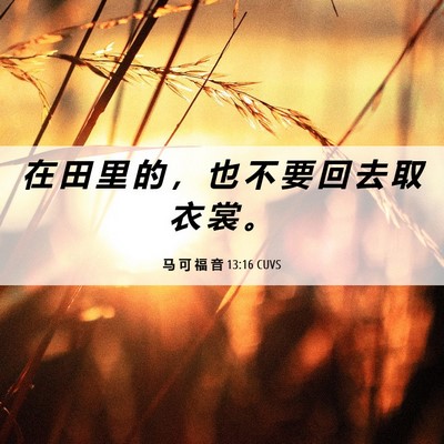 Picture 06 - 马 可 福 音 13:16 CUVS - 在 田 里 的 ， 也 不 要 回 去 取 衣 - Bible Verse Picture