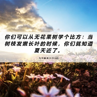Picture 06 - 马 可 福 音 13:28 CUVS - 你 们 可 以 从 无 花 果 树 学 个 比 - Bible Verse Picture