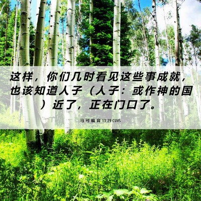 Picture 06 - 马 可 福 音 13:29 CUVS - 这 样 ， 你 们 几 时 看 见 这 些 事 - Bible Verse Picture