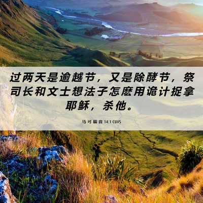 Picture 06 - 马 可 福 音 14:1 CUVS - 过 两 天 是 逾 越 节 ， 又 是 除 酵 - Bible Verse Picture