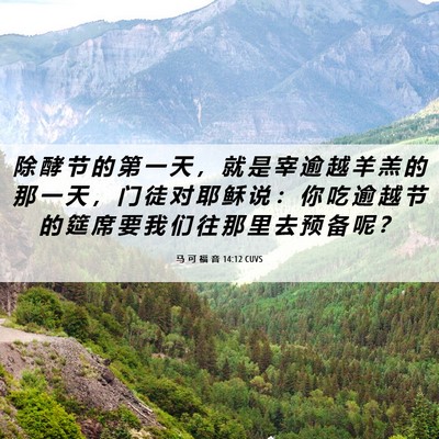 Picture 06 - 马 可 福 音 14:12 CUVS - 除 酵 节 的 第 一 天 ， 就 是 宰 逾 - Bible Verse Picture
