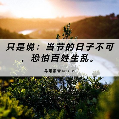 Picture 06 - 马 可 福 音 14:2 CUVS - 只 是 说 ： 当 节 的 日 子 不 可 ， - Bible Verse Picture