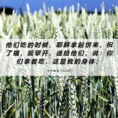 Picture 06 - 马 可 福 音 14:22 CUVS - 他 们 吃 的 时 候 ， 耶 稣 拿 起 饼 - Bible Verse Picture