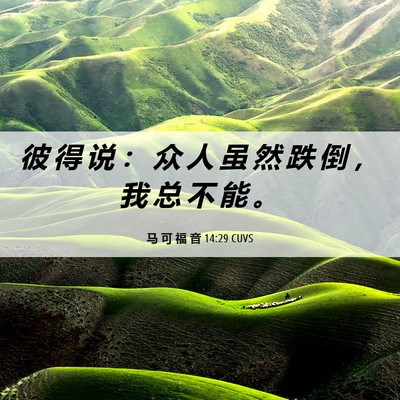 Picture 06 - 马 可 福 音 14:29 CUVS - 彼 得 说 ： 众 人 虽 然 跌 倒 ， 我 - Bible Verse Picture