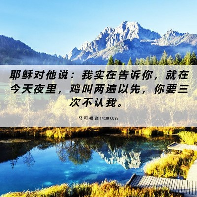Picture 06 - 马 可 福 音 14:30 CUVS - 耶 稣 对 他 说 ： 我 实 在 告 诉 你 - Bible Verse Picture