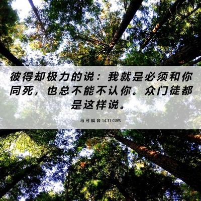 Picture 06 - 马 可 福 音 14:31 CUVS - 彼 得 却 极 力 的 说 ： 我 就 是 必 - Bible Verse Picture