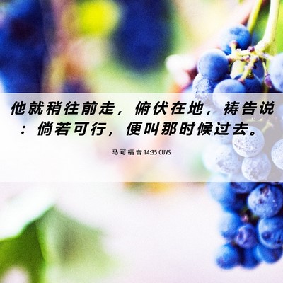 Picture 06 - 马 可 福 音 14:35 CUVS - 他 就 稍 往 前 走 ， 俯 伏 在 地 ， - Bible Verse Picture