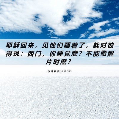 Picture 06 - 马 可 福 音 14:37 CUVS - 耶 稣 回 来 ， 见 他 们 睡 着 了 ， - Bible Verse Picture