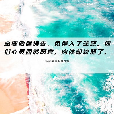 Picture 06 - 马 可 福 音 14:38 CUVS - 总 要 儆 醒 祷 告 ， 免 得 入 了 迷 - Bible Verse Picture
