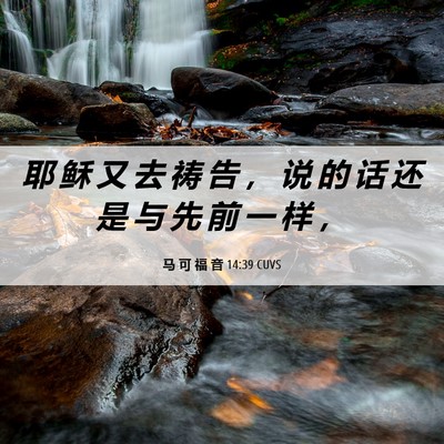 Picture 06 - 马 可 福 音 14:39 CUVS - 耶 稣 又 去 祷 告 ， 说 的 话 还 是 - Bible Verse Picture