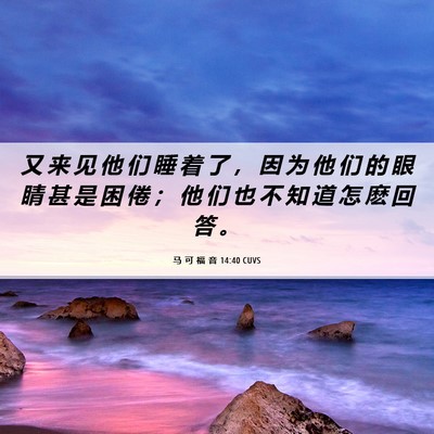 Picture 06 - 马 可 福 音 14:40 CUVS - 又 来 见 他 们 睡 着 了 ， 因 为 他 - Bible Verse Picture