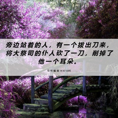 Picture 06 - 马 可 福 音 14:47 CUVS - 旁 边 站 着 的 人 ， 有 一 个 拔 出 - Bible Verse Picture