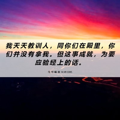 Picture 06 - 马 可 福 音 14:49 CUVS - 我 天 天 教 训 人 ， 同 你 们 在 殿 - Bible Verse Picture