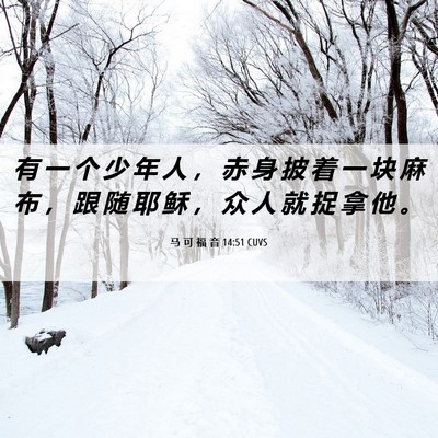 Picture 06 - 马 可 福 音 14:51 CUVS - 有 一 个 少 年 人 ， 赤 身 披 着 一 - Bible Verse Picture