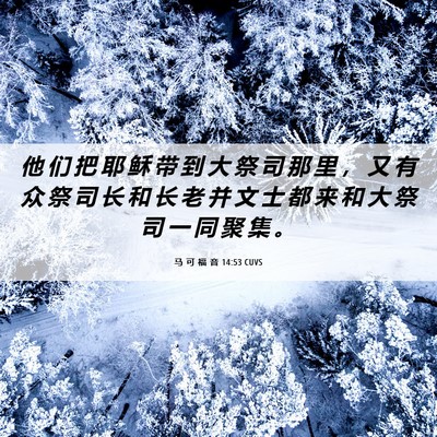 Picture 06 - 马 可 福 音 14:53 CUVS - 他 们 把 耶 稣 带 到 大 祭 司 那 里 - Bible Verse Picture