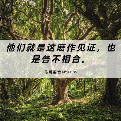 Picture 06 - 马 可 福 音 14:59 CUVS - 他 们 就 是 这 麽 作 见 证 ， 也 是 - Bible Verse Picture