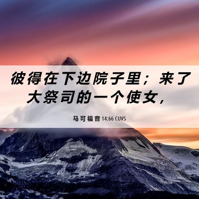 Picture 06 - 马 可 福 音 14:66 CUVS - 彼 得 在 下 边 院 子 里 ； 来 了 大 - Bible Verse Picture
