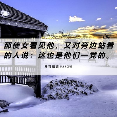 Picture 06 - 马 可 福 音 14:69 CUVS - 那 使 女 看 见 他 ， 又 对 旁 边 站 - Bible Verse Picture
