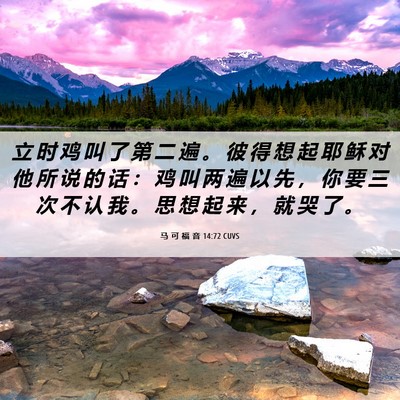 Picture 06 - 马 可 福 音 14:72 CUVS - 立 时 鸡 叫 了 第 二 遍 。 彼 得 想 - Bible Verse Picture