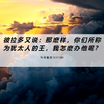 Picture 06 - 马 可 福 音 15:12 CUVS - 彼 拉 多 又 说 ： 那 麽 样 ， 你 们 - Bible Verse Picture