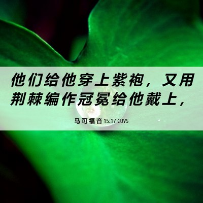Picture 06 - 马 可 福 音 15:17 CUVS - 他 们 给 他 穿 上 紫 袍 ， 又 用 荆 - Bible Verse Picture