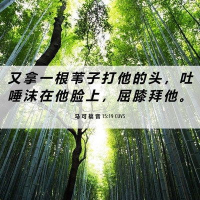 Picture 06 - 马 可 福 音 15:19 CUVS - 又 拿 一 根 苇 子 打 他 的 头 ， 吐 - Bible Verse Picture