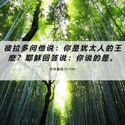 Picture 06 - 马 可 福 音 15:2 CUVS - 彼 拉 多 问 他 说 ： 你 是 犹 太 人 - Bible Verse Picture