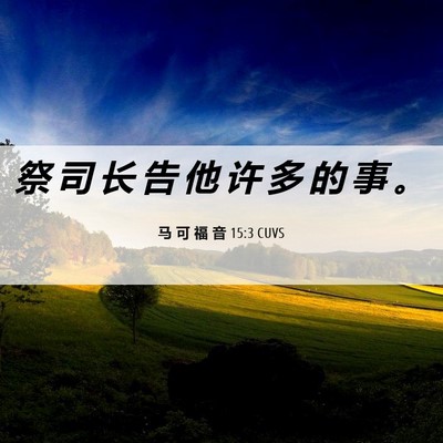 Picture 06 - 马 可 福 音 15:3 CUVS - 祭 司 长 告 他 许 多 的 事 - Bible Verse Picture