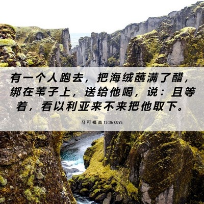 Picture 06 - 马 可 福 音 15:36 CUVS - 有 一 个 人 跑 去 ， 把 海 绒 蘸 满 - Bible Verse Picture