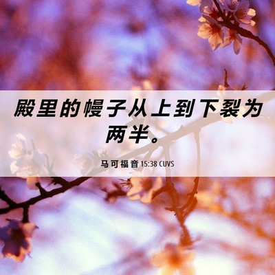 Picture 06 - 马 可 福 音 15:38 CUVS - 殿 里 的 幔 子 从 上 到 下 裂 为 两 - Bible Verse Picture