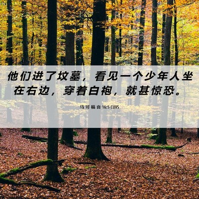 Picture 06 - 马 可 福 音 16:5 CUVS - 他 们 进 了 坟 墓 ， 看 见 一 个 少 - Bible Verse Picture