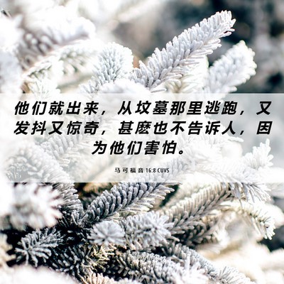 Picture 06 - 马 可 福 音 16:8 CUVS - 他 们 就 出 来 ， 从 坟 墓 那 里 逃 - Bible Verse Picture