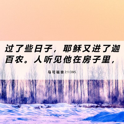 Picture 06 - 马 可 福 音 2:1 CUVS - 过 了 些 日 子 ， 耶 稣 又 进 了 迦 - Bible Verse Picture