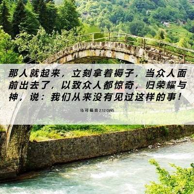 Picture 06 - 马 可 福 音 2:12 CUVS - 那 人 就 起 来 ， 立 刻 拿 着 褥 子 - Bible Verse Picture