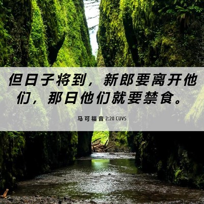 Picture 06 - 马 可 福 音 2:20 CUVS - 但 日 子 将 到 ， 新 郎 要 离 开 他 - Bible Verse Picture