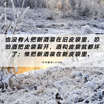 Picture 06 - 马 可 福 音 2:22 CUVS - 也 没 有 人 把 新 酒 装 在 旧 皮 袋 - Bible Verse Picture