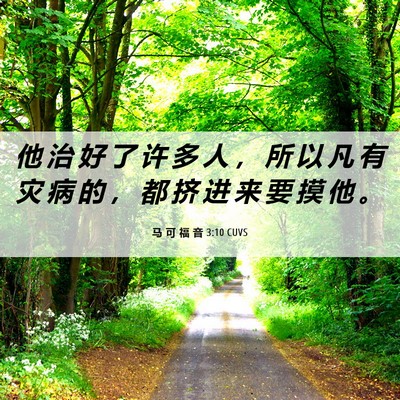 Picture 06 - 马 可 福 音 3:10 CUVS - 他 治 好 了 许 多 人 ， 所 以 凡 有 - Bible Verse Picture