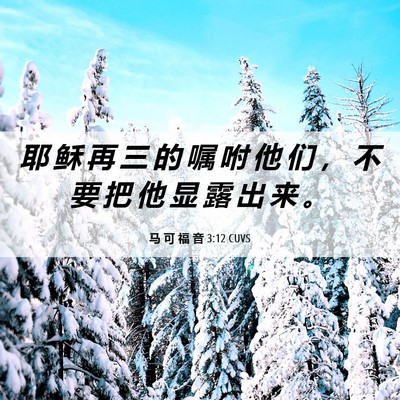 Picture 06 - 马 可 福 音 3:12 CUVS - 耶 稣 再 三 的 嘱 咐 他 们 ， 不 要 - Bible Verse Picture