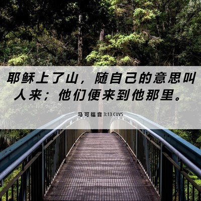 Picture 06 - 马 可 福 音 3:13 CUVS - 耶 稣 上 了 山 ， 随 自 己 的 意 思 - Bible Verse Picture