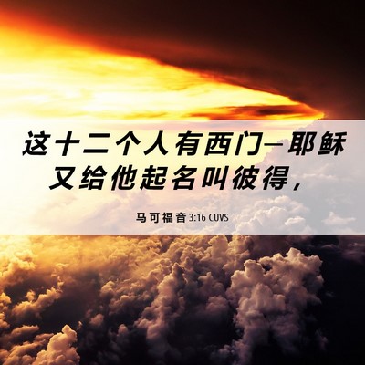 Picture 06 - 马 可 福 音 3:16 CUVS - 这 十 二 个 人 有 西 门 ─ 耶 稣 又 - Bible Verse Picture