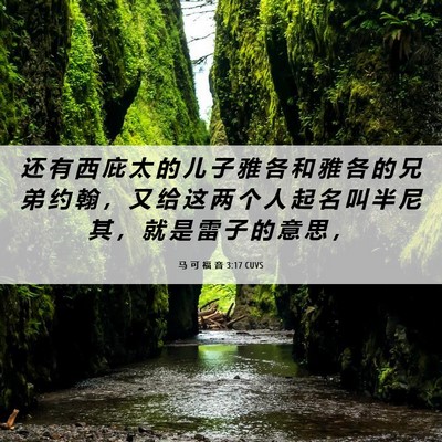 Picture 06 - 马 可 福 音 3:17 CUVS - 还 有 西 庇 太 的 儿 子 雅 各 和 雅 - Bible Verse Picture