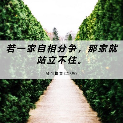 Picture 06 - 马 可 福 音 3:25 CUVS - 若 一 家 自 相 分 争 ， 那 家 就 站 - Bible Verse Picture
