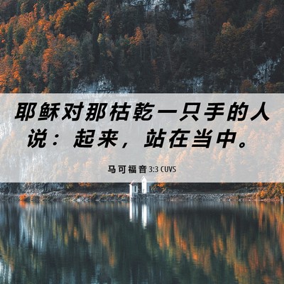 Picture 06 - 马 可 福 音 3:3 CUVS - 耶 稣 对 那 枯 乾 一 只 手 的 人 说 - Bible Verse Picture