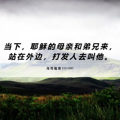 Picture 06 - 马 可 福 音 3:31 CUVS - 当 下 ， 耶 稣 的 母 亲 和 弟 兄 来 - Bible Verse Picture
